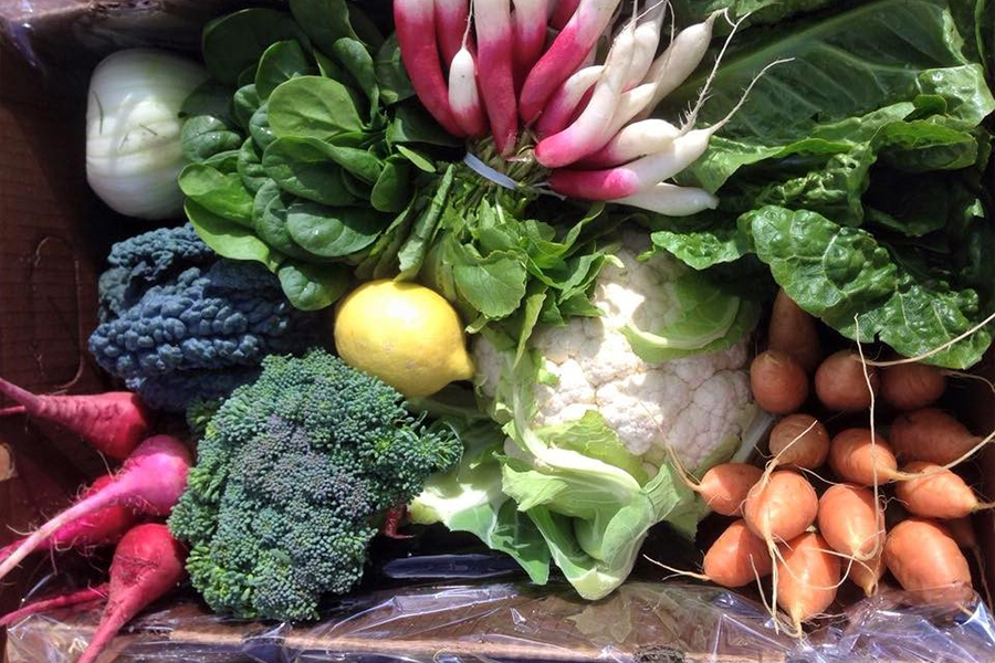 Our local Ventura County farmers are bringing you CSA boxes, filled with fresh, in season produce!